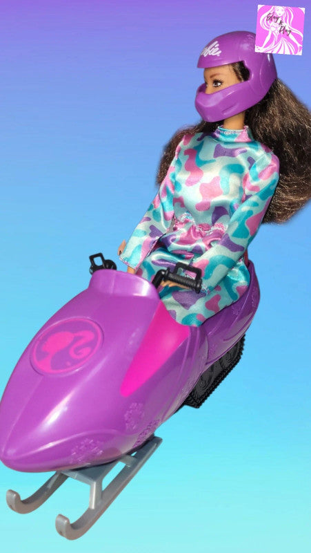 Barbie winter sports playset