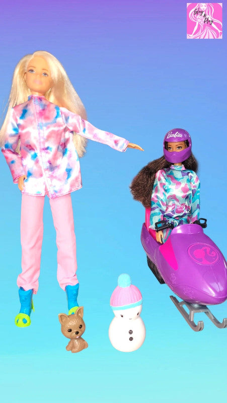 Barbie winter sports playset